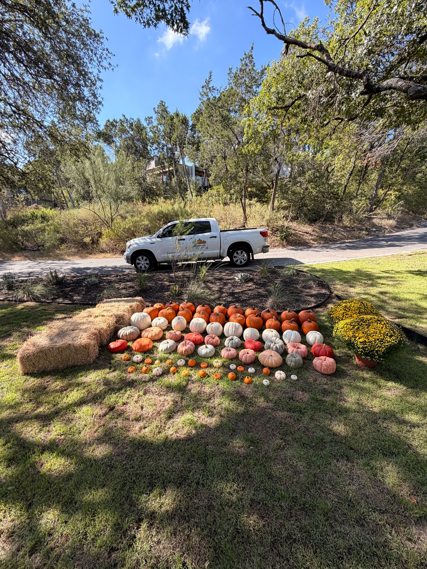 The Harvest